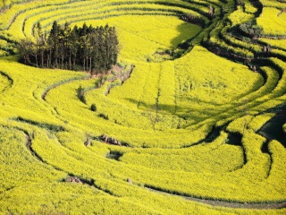 云南昆明旅游要多少錢跟團(tuán)_到云南昆明旅游多少錢_報(bào)團(tuán)去云南昆明多少錢