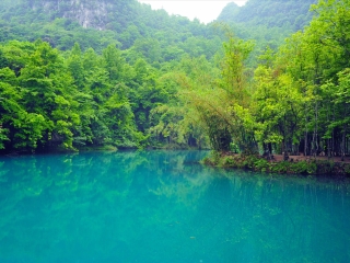 去貴州黃果樹瀑布報團多少錢_旅行團貴州黃果樹瀑布游_報團去貴州黃果樹瀑布多少錢