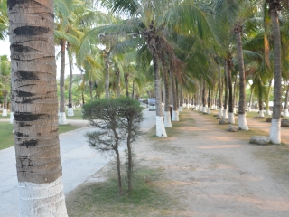 海南三亞旅游多少錢一個(gè)人_海南三亞高端品質(zhì)旅游團(tuán)_海南三亞游報(bào)價(jià)