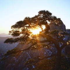 景点模块 
