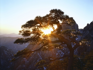 華山游價(jià)格_華山旅游需要多少錢_華山自由游價(jià)格多少