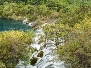 四川九寨溝跟團游與自由行_四川九寨溝旅行團自由行_四川九寨溝旅行跟團