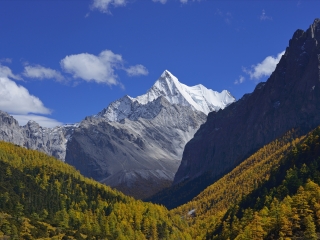 稻城亞丁旅游大約多少錢_到稻城亞丁旅游多少錢_組團去稻城亞丁
