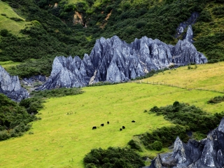 稻城亞丁游跟團(tuán)_稻城亞丁旅游需要多少錢(qián)_到稻城亞丁旅游