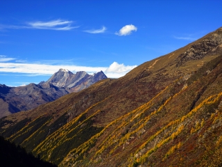 8月西藏林芝旅游_西藏林芝半自由行_西藏林芝特價旅游團(tuán)報價