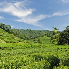 餐饮模块 
