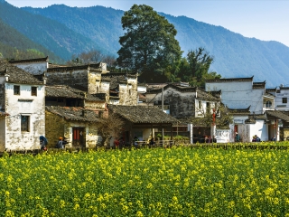 婺源廬山旅游最佳路線_婺源廬山游組團(tuán)_婺源廬山組團(tuán)旅游