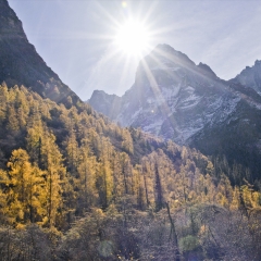 景点模块 
