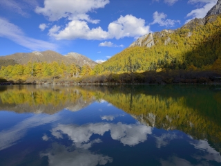 组团去成都_去成都游价格_成都旅游报