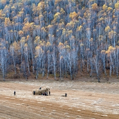 景点模块 