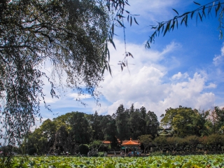 从东莞到西双版纳旅游_去西双版纳旅游的报价_西双版纳旅游几月份最好