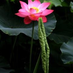 景点模块 
