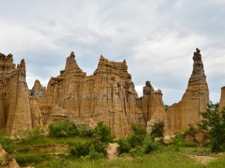 跟团罗平油菜花旅游_罗平油菜花散客旅游_8月罗平油菜花旅游