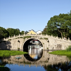 活动模块 