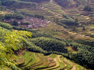 报团旅游昆明_昆明几日跟团旅游_昆明跟团游与自由行