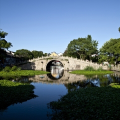 活动模块 