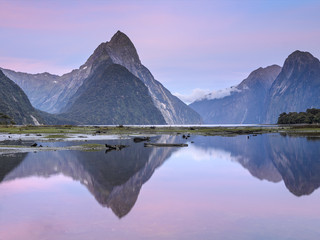新西兰旅游多少钱_新西兰自由行旅游团_去新西兰报团多少钱