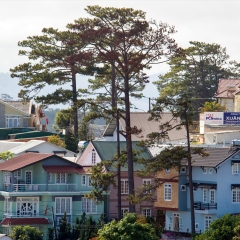 景点模块 