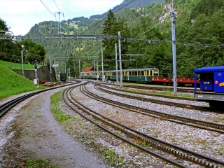 西双版纳旅游要带多少钱_西双版纳旅游团报价6月_西双版纳旅游跟团