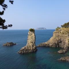 活动模块 