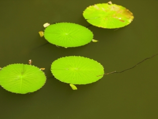 現(xiàn)在到海南三亞旅游多少錢(qián)_海南三亞旅游報(bào)團(tuán)價(jià)格_到海南三亞旅游報(bào)團(tuán)價(jià)格
