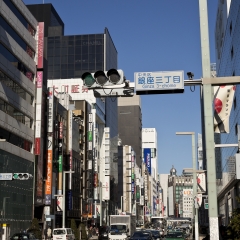 活动模块 