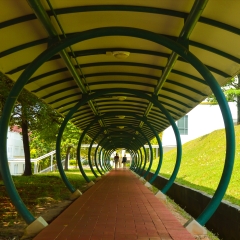 景点模块 