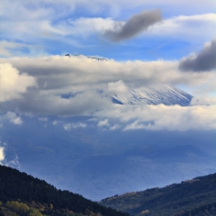 小交通模块 