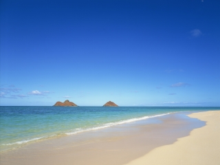 報(bào)團(tuán)去美國(guó)夏威夷多少錢_美國(guó)夏威夷游跟團(tuán)多少錢2021_美國(guó)夏威夷旅游費(fèi)用