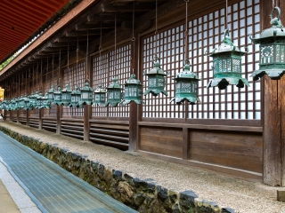 日本5日游价格_去日本旅游公司_至日本游跟团报价