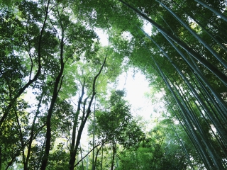 山东旅游最佳路线_山东六日游价格_山东山东旅游报价