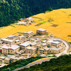 景点模块 