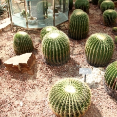 小交通模块 