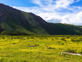 组团去成都_去成都游价格_成都旅游报