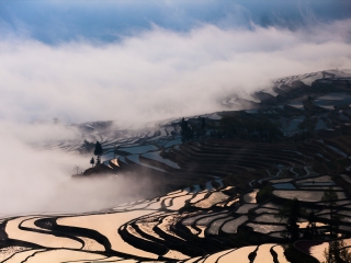跟團(tuán)云南游價格_云南跟團(tuán)還是自由行_深圳到云南旅游報價