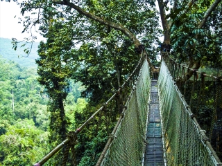 云南西雙版納自由行旅游團_現(xiàn)在到云南西雙版納旅游多少錢_云南西雙版納旅游報價
