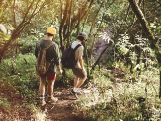 云南西雙版納八月份旅游_云南西雙版納旅游多少錢一個(gè)人_云南西雙版納旅游要多少錢跟團(tuán)