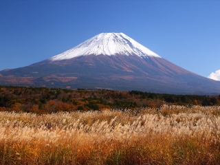 日本東京旅游要多少錢(qián)2021_日本東京旅游報(bào)價(jià)_怎么去日本東京旅游