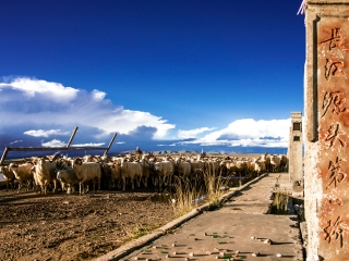 西藏会议旅游_旅行团西藏游_西藏5日旅游