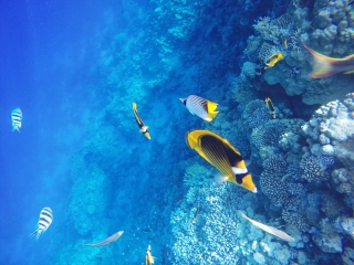 廣西北海旅游要多少錢2021_廣西北海2人旅游需要多少錢_廣西北海自由行還是跟團好