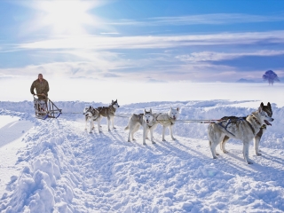 北歐洲游 旅行團(tuán)_北歐洲跟團(tuán)游與自由行_北歐洲旅游路線