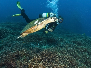 海南三亞自由行費用_海南三亞自由行組團_深圳到海南三亞旅游報價