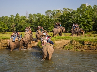 到云南西雙版納旅游多少錢_云南西雙版納自由行費(fèi)用_云南西雙版納旅游組團(tuán)