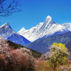 小交通模块 