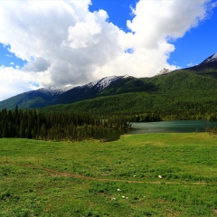 景点模块 