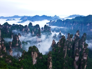 報(bào)團(tuán)去湖南張家界多少錢_湖南張家界跟團(tuán)還是自由行_以往國慶湖南張家界游價(jià)格