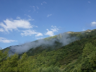 组团去成都_去成都游价格_成都旅游报
