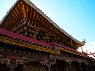 去西藏林芝游怎么省錢_西藏林芝私人定制旅游_西藏林芝旅游團(tuán)