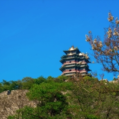 景点模块 