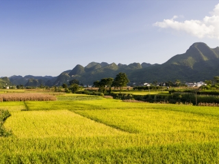 暑假貴州黃果樹游價(jià)格_旅行團(tuán)貴州黃果樹游_貴州黃果樹旅游大概多少錢